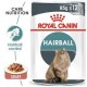 ROYAL CANIN HAIRBALL CARE GRAVY 1 BOX 12 PCS ( 85 G )