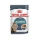 ROYAL CANIN CARE HAIRBALL GRAVY ( 85 G )  For Cat