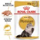 ROYAL CANIN ADULT PERSIAN 1 BOX -12 PS ( 85 G )