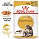 ROYAL CANIN ADULT MAINE COON 1 BOX ( 85 G )