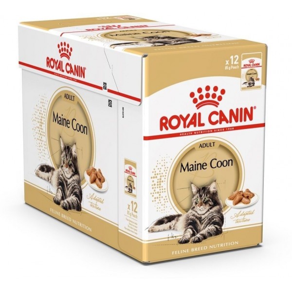 ROYAL CANIN ADULT MAINE COON 1 BOX ( 85 G )