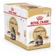 ROYAL CANIN ADULT MAINE COON 1 BOX ( 85 G )