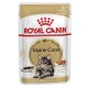 ROYAL CANIN ADULT MAINE COON ( 85 G )