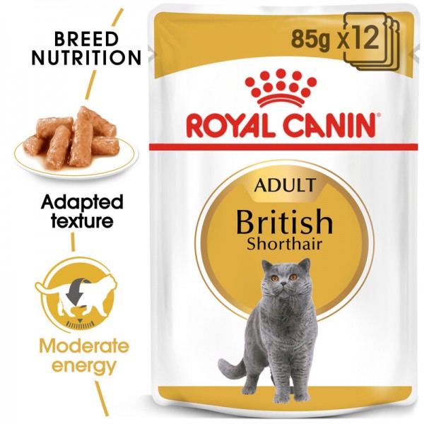 Royal Canin British Shorthair 1 Box 12pc(85g)