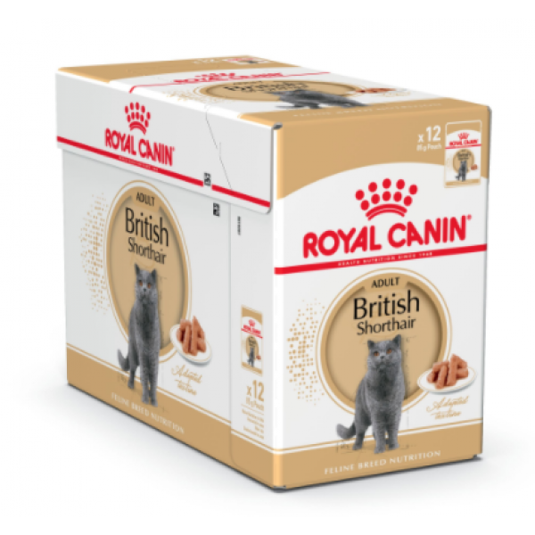 Royal Canin British Shorthair 1 Box 12pc(85g)