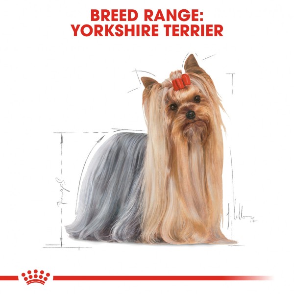 royal canin Yorkshire Adult   (85 g)