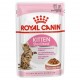 ROYAL CANIN KITTEN STERILISED Gravy ( 85 G )