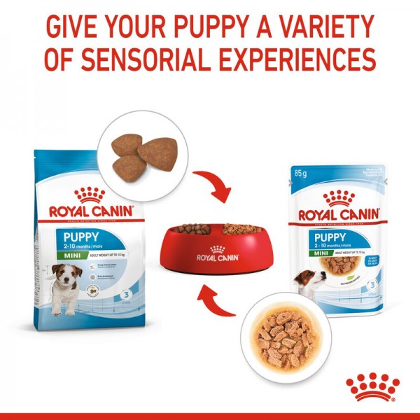 ROYAL CANIN  PUPPY MINI GRAVY ( 85 G )