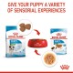 ROYAL CANIN  PUPPY MINI GRAVY ( 85 G )