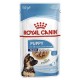 Royal Canin Maxi Puppy Pouch(140g) FOR DOG