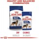 ROYAL CANIN MAXI ADULT POUCH (140G)