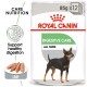 Royal Canin Digestive Care Dog (85g)