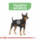 Royal Canin Digestive Care Dog (85g)