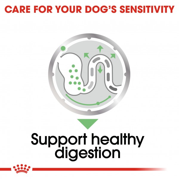 Royal Canin Digestive Care Dog (85g)