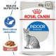 ROYAL CANIN INDOOR STERILISED GRAVY 1 BOX-12 PS ( 85 G )