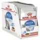 ROYAL CANIN INDOOR STERILISED GRAVY 1 BOX-12 PS ( 85 G )