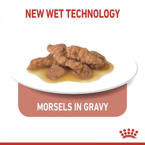 ROYAL CANIN INDOOR STERILISED GRAVY ( 85 G )