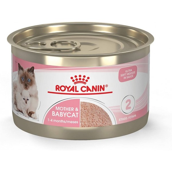 Royal Canin Mother & Babycat Mousse (WET FOOD - Cans) 12 PCS X 1 BOX