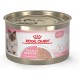 Royal Canin Mother & Babycat Mousse (WET FOOD - Cans) 12 PCS X 1 BOX