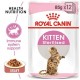 ROYAL CANIN KITTEN GRAVY 1 BOX-12 PS ( 85 G )