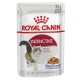 ROYAL CANIN INSTICTIVE JELLY ( 85 G )