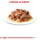 ROYAL CANIN STERILISED GRAVY ( 85 G )