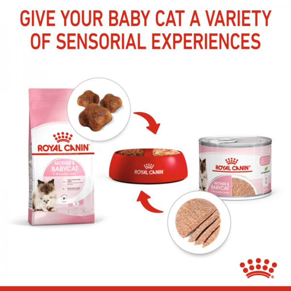 ROYAL CANIN MOTHER & BABY CAT CAN ( 195 G )