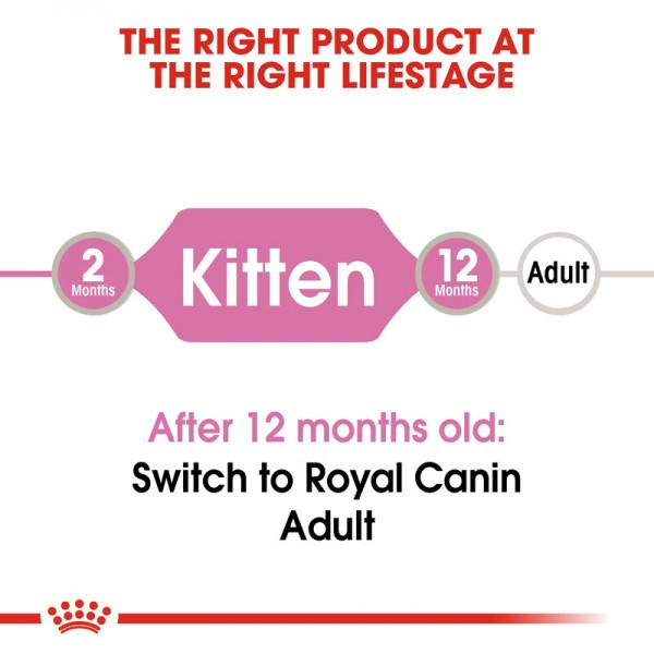 ROYAL CANIN KITTEN JELLY ( 85 G )  For Cat