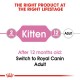 ROYAL CANIN KITTEN JELLY ( 85 G )  For Cat