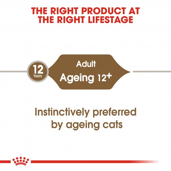 ROYAL CANIN AGEING 12 PLUS JELLY ( 85 G )