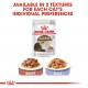 ROYAL CANIN AGEING 12 PLUS JELLY ( 85 G )