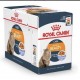 ROYAL CANIN CARE INTENSE BEAUTY JELLY 1 BOX-12 PS ( 85 G )