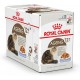 royal canin AGEING +12 JELLY 1Box-12pcs(85g)