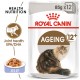 royal canin AGEING +12 JELLY 1Box-12pcs(85g)