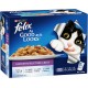 Felix Favourite Selection in Jelly with mixed flavor 85g( 1 box )