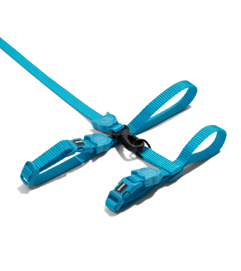 Harness and on sale leash set