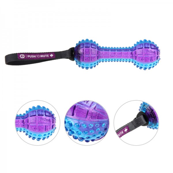 GiGwi Dumbell ‘Push To Mute’ Transparent FOR DOG (Purple- Blue)