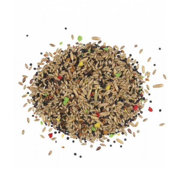 WITTE MOLEN COUNTRY MIX FOR LOVELY CANARIES ( 600 G )