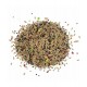 WITTE MOLEN COUNTRY MIX FOR LOVELY CANARIES ( 600 G )