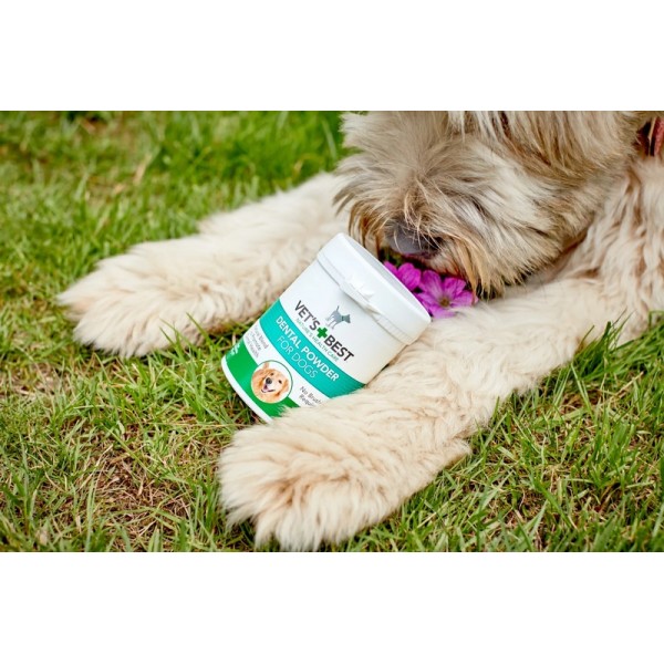 Vets Best Advanced Dental Powder For Dogs ( 90g )