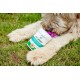 Vets Best Advanced Dental Powder For Dogs ( 90g )