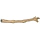 Prevue Branch Coffea Wood Perch for Birds -(18inch)