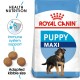 ROYAL CANIN MAXI PUPPY ( 4 KG )