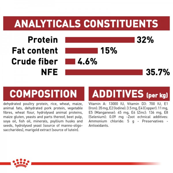 ROYAL CANIN REGULAR FIT 32 ( 400 G )