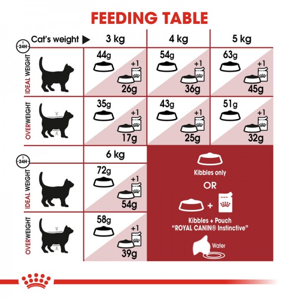 ROYALCANIN REGULAR FIT  ( 10 Kg )