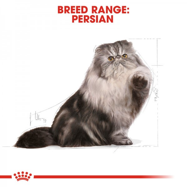 ROYAL CANIN ADULT PERSIAN ( 400 G )