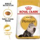 ROYAL CANIN ADULT PERSIAN ( 2 Kg )