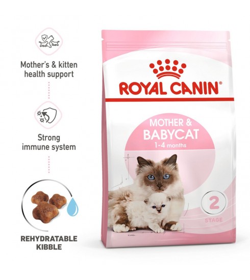 Royal hot sale canin cat