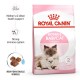 ROYAL CANIN MOTHER & BABY CAT ( 400 G )