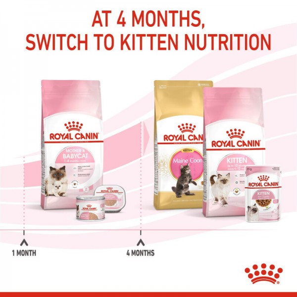 ROYAL CANIN MOTHER & BABY CAT ( 400 G )